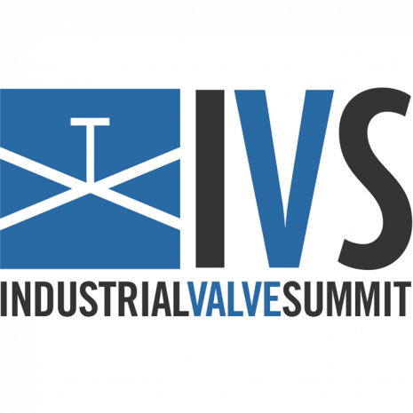 IVS 2017